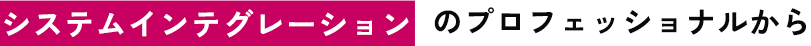 システムインテグレーションのプロフェッショナルから