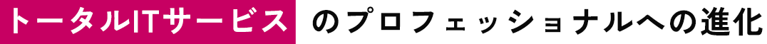 トータルITサービスのプロフェッショナルへの進化